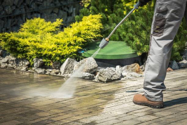 Best Fence Cleaning and Maintenance in Kenyon, MN