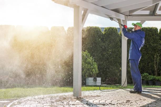 Best Deck and Patio Pressure Washing in Kenyon, MN