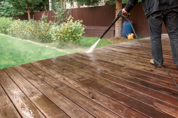 Best Driveway Cleaning and Restoration in Kenyon, MN