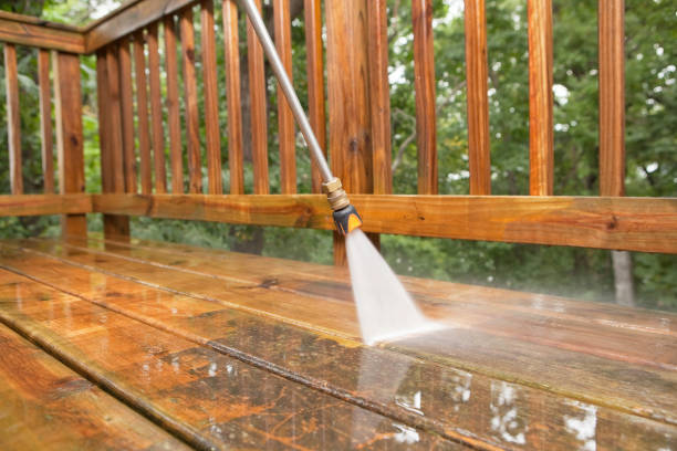 Best Window and Screen Pressure Cleaning in Kenyon, MN