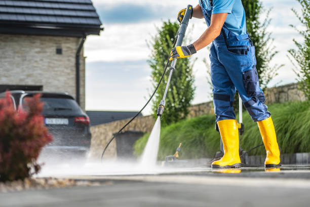 Best Soft Washing for Delicate Surfaces in Kenyon, MN